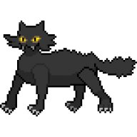 FloofyPanthar