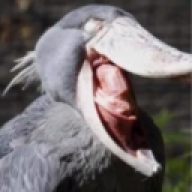 GaDemICE