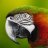 Macaw