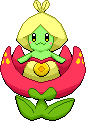 Blossom2.png