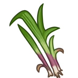 medicinal_leek.png